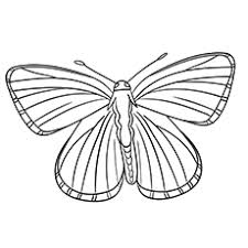 There is no reason to ever be bored with so many fun butterfly projects to work on! Top 50 Free Printable Butterfly Coloring Pages Online