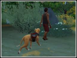 I really love to mod but it can be really time consuming. Carovnica V Resnici Od Tam Sims 4 Dog Walker Caseyjshear Com
