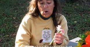 Pin On Gardening Videos