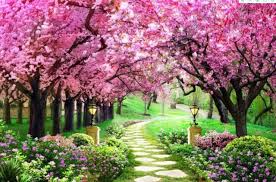 We did not find results for: 48 Gambar Pemandangan Bunga Sakura Bergerak Terbagus Lingkar Png