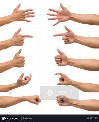 Premium Sum 10 Picture Of Man Hand With Show Various Action Over White Background Photo Download In Png Jpg Format White Background Photo Guy Pictures 10 Picture