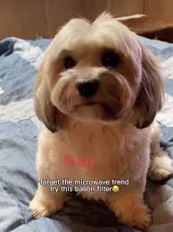 Sandy Lewis-Duvall (@sandylewisduvall)