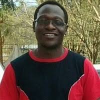 Image result for Solanecio cydoniifolius