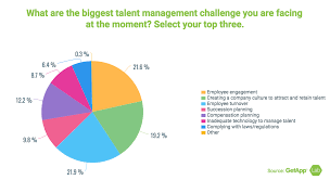 Talent Management Strategy Report Focus On Teams And