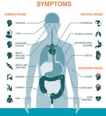 Mostly dengue is like an ordinary viral illness but in a small percentage it can be severe with serious complications. Overivew Of Dengue Know Its Signs And Symptoms
