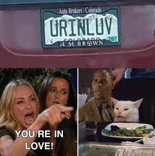 Urinluv Woman Yelling At A Cat Know Your Meme