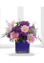 When someone you love experiences a loss, it can be tough to express how much you care. 15 Get Well Soon Flowers Delivery Dubai Ideas Get Well Soon Flowers Flowers Flower Delivery