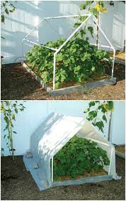 Greenhouses are the ultimate fantasy for most gardeners, but they're also a big price that comes with buying one that suits your needs. 20 Free Diy Greenhouse Plans You Ll Want To Make Right Away Diy Crafts