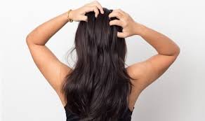 Next, use your finger pads (not nails!) to massage the hair growth oil into the scalp. Hair Growth Ayurvedic Massage How To Make Your Hair Grow Faster Express Co Uk