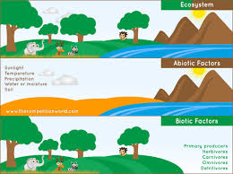 Abiotic And Biotic Factors Of An Ecosystem Abiotic Ecosystems Ecological Pyramid