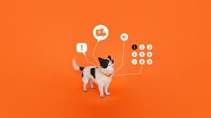 the tech helping dogs learn to talk with humans dog help working dogs your pet