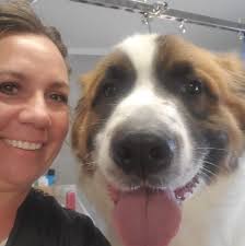 Sweetheart Pet Grooming