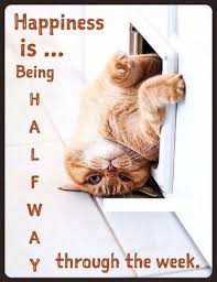 Funny Wednesday Memes Wednesday Humor Funny Wednesday Memes Mom Humor