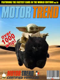 Pin By Tom Churlik On Baby Yoda Yoda Meme Yoda Wallpaper Star Wars Memes