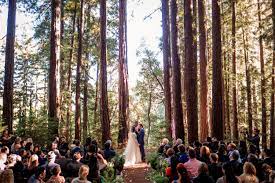 Moody Woodland Wedding At The Sequoia Retreat Center Art Soul Events Forest Wedding Venue Northern California Wedding Venues Redwood Forest Wedding