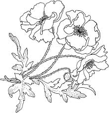 Play with red, yellow, white, orange, pink, purple, deep dark purple and of course shades of green. California Poppy California Poppy For The Love One Coloring Page California Poppy For The Love Poppy Coloring Page Poppy Flower Drawing Flower Coloring Pages