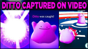 How To Find And Use A Ditto In Pokemon Go Cnet