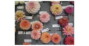 Best voted florists in stockton, california. Wholesalers Of American Grown Flowers