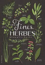 Les Fines Herbes Herbs Illustration Culinary Herbs Herbs