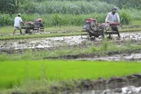 Sungai petani is kedah's largest city and is located about 55 km south of alor setar, the capital of kedah, and 33 km northeast of george town, the capital city of the neighbouring state of penang. Berapa Persen Yang Dikeluarkan Untuk Zakat Pertanian