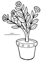 Kumpulan gambar sketsa bunga indah dan mudah cara menggambar dari bunga sakura mawar melati tulip anggrek matahari teratai sketsa sederhana dan lain. Mewarnai Gambar Mewarnai Gambar Sketsa Bunga 2