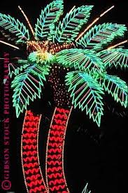 Neon Palm Trees Las Vegas Nevada Stock Photo 1229 Vintage Neon Signs Neon Palm Tree Neon Signs