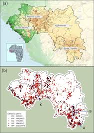 Image result for Inversodicraea