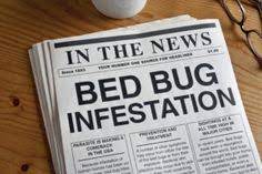 Arrow pest control is there for you throughout to make sure you will get help from the experts. 59 Bed Bugs Ideas Bed Bugs Bugs Bed Bug Bites