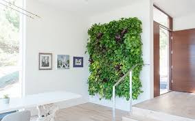 Both indoor and outdoor living walls are available. How To Make Living Wall Art Living Wall Art Diy Hello Lidy