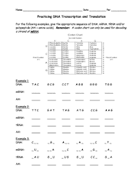 Phonetic quizzes as worksheets to print. Transcription Translation And Codon Chart Practice Mane Datnight Org