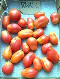 Love Apple Farm S Tomato Variety Photo Album Polish Pastel Apple Farm Tomato Pastel
