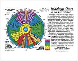 Iridology Chart Of Eye Reflexology Rainbow Coded By Inner