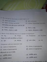 Start studying cellulose and plant cell walls. The Cell Wall Of Collenchyma Is Mainly Made Up Of Brainly In