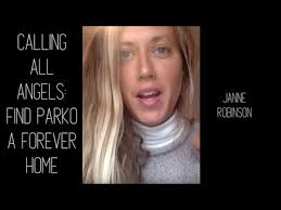 Fundraiser by Janne Robinson : Parko's Forever Home