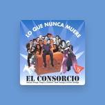 El Consorcio