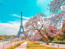Dilerseniz kendi paris yazılarınızı sitemizde yayınlayabilirsiniz. The 12 Best Markets In Paris You Have To Visit Hand Luggage Only Travel Food Photography Blog