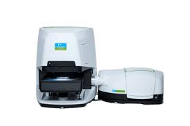 Image result for Desmodium psilocarpum