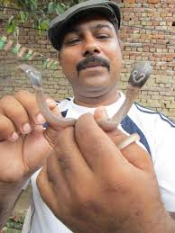 imran hunters (@HuntersImran)