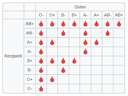 blood donor recipient compatibility chart album on imgur