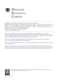 Image result for Danthoniopsis dinteri