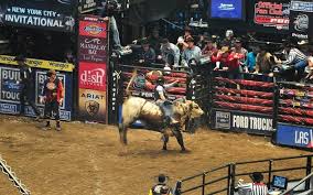 Pbr Professional Bull Riders World Finals Sunday