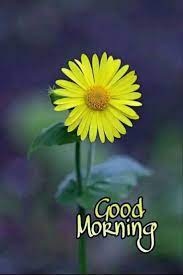 Family Quotes Morning Quotes Monday Good Morning Quotes Monday Good Morning Good Morning Images Very Good Morning Images Good Morning Beautiful Pictures