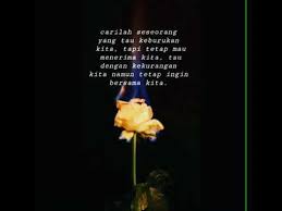 Gambar bunga mawar dan kata mutiara. Kata Kata Bunga Mawar Youtube