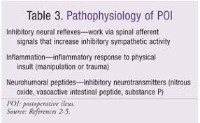Image result for Adynamic Ileus