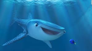 Nemo, an adventurous young clownfish, is unexpectedly taken from his great barrier reef home to a dentist's office aquarium. Find Dory Just Don T Buy Her Cnn Video