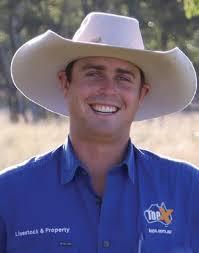 Barambah-Dale Charolais 2024 Bull Sale by Cattlelogue Queen