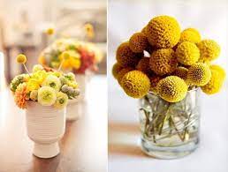 Billy Balls Decorate With Billy Buttons Craspedia Emmaline Bride Billy Balls Billy Buttons Green Centerpieces