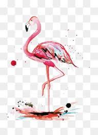 الحبر الفلامنغو فلامنغو قصاصات فنية التوضيح فلامنغو طباعة فلامنغو Png وملف Psd للتحميل مجانا Flamingo Art Flamingo Illustration Flamingo Clip Art