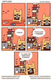 a cat s cafe for everyone cat cafe funny comic strips fun comics