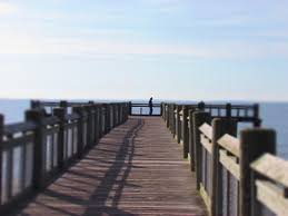 Jul 02, 2021 · the annual sand sculpture contest hosted at walnut beach in milford will be held on july 18 both in person and online, according to the milford arts council (the mac). Pier Walnut Beach Milford Ct Picture Of Walnut Beach Milford Tripadvisor